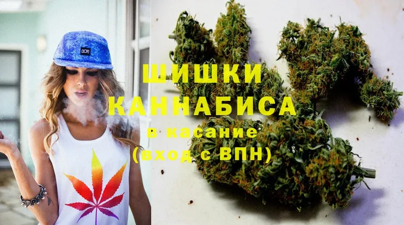 Каннабис Bruce Banner  Кохма 